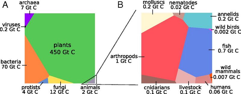 File:Biomass Distribution by taxa.jpg