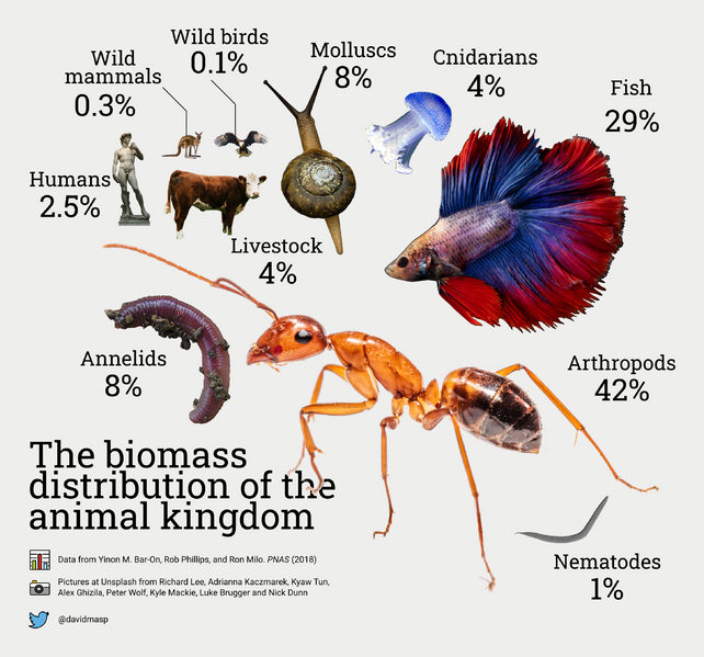 File:Biomass Distribution Animal Kingdom.png